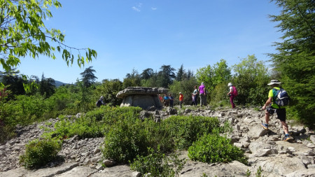qui nous fait découvrir des vestiges préhistoriques